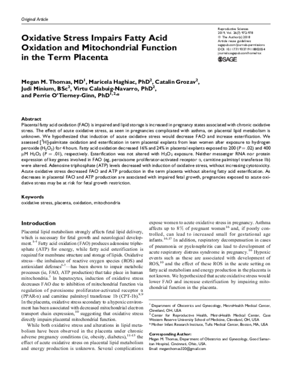 (PDF) Oxidative Stress Impairs Fatty Acid Oxidation and Mitochondrial ...