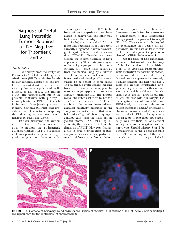 (PDF) Diagnosis of “Fetal Lung Interstitial Tumor” Requires a FISH ...