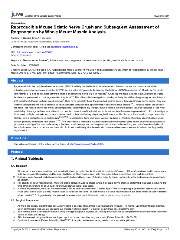(PDF) Reproducible Mouse Sciatic Nerve Crush and Subsequent Assessment ...