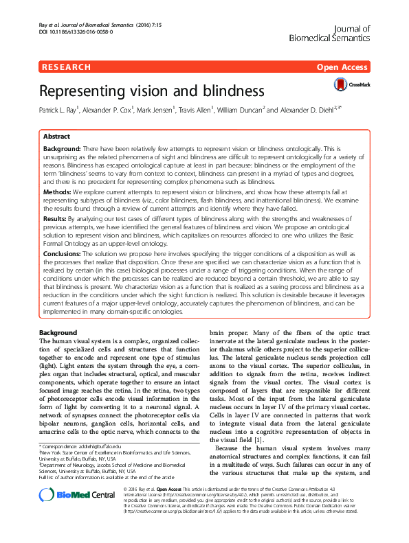 (PDF) Representing vision and blindness