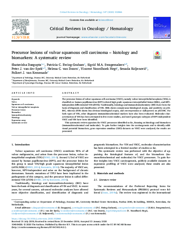 (PDF) Precursor lesions of vulvar squamous cell carcinoma – histology ...