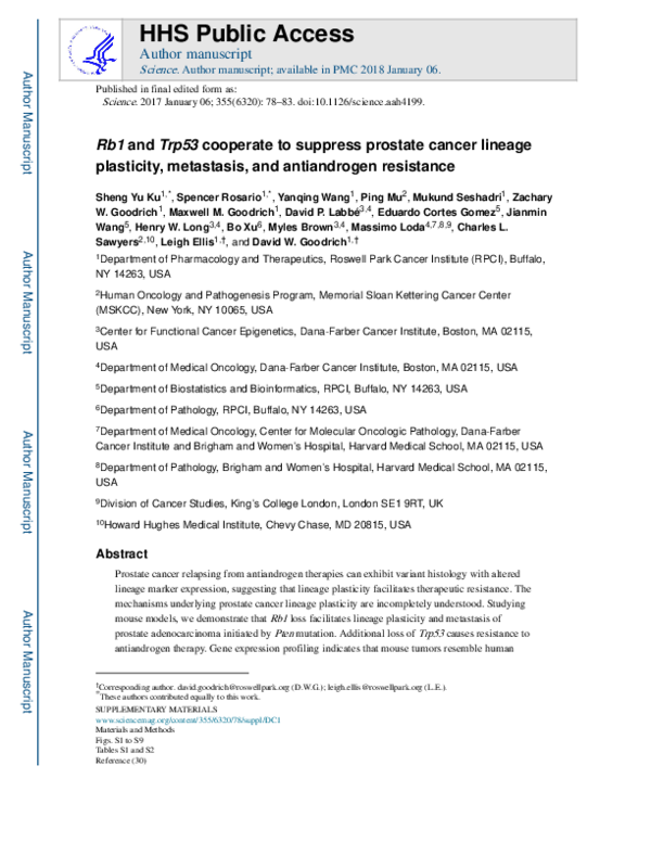 (PDF) Rb1 and Trp53 cooperate to suppress prostate cancer lineage ...