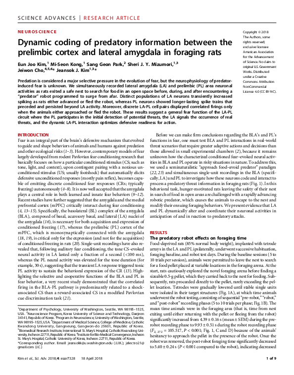 (PDF) Dynamic coding of predatory information between the prelimbic ...