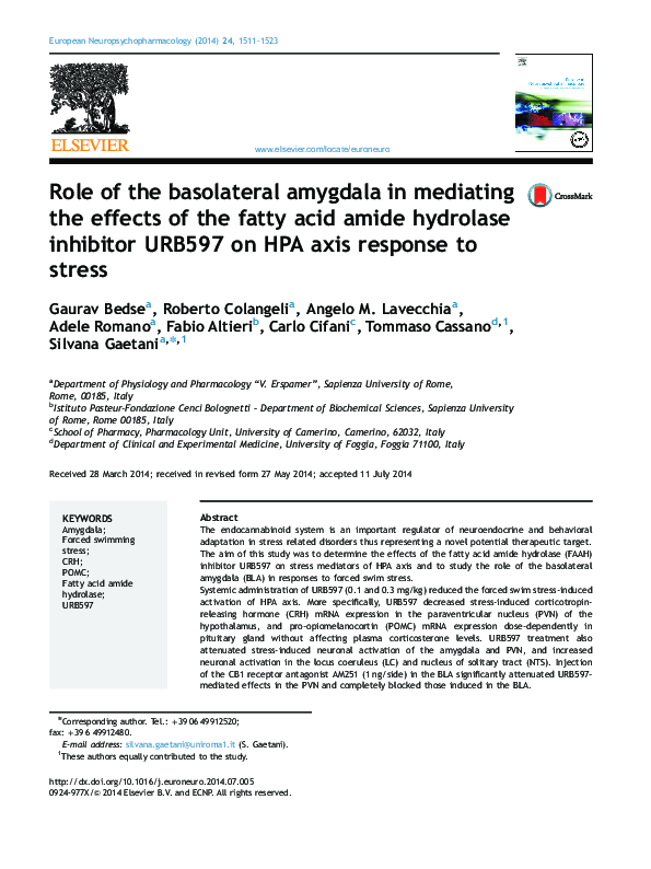 (PDF) Role of the basolateral amygdala in mediating the effects of the ...