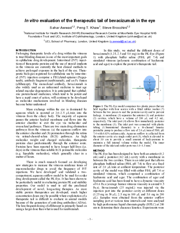 (PDF) In vitro evaluation of the therapeutic tail of bevacizumab in the eye
