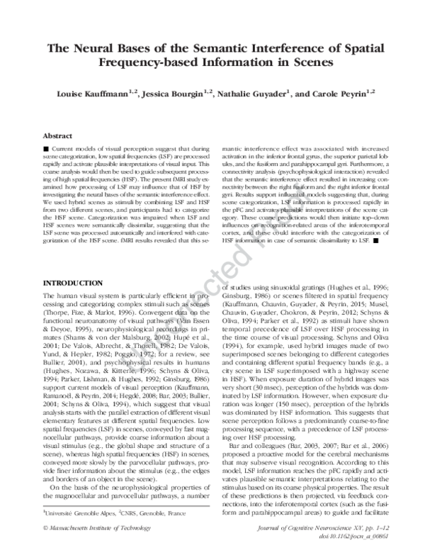 (PDF) The Neural Bases of the Semantic Interference of Spatial ...