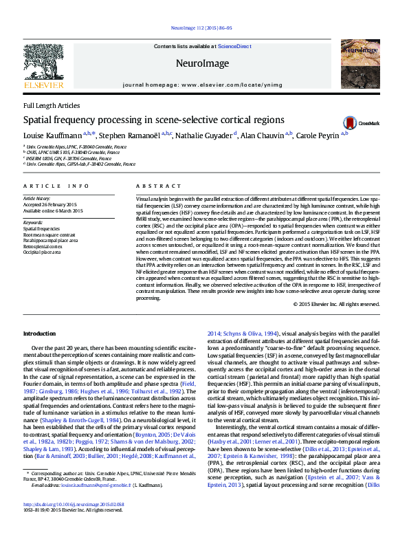 (PDF) Spatial frequency processing in scene-selective cortical regions