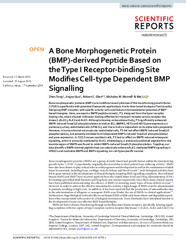 (PDF) A Bone Morphogenetic Protein (BMP)-derived Peptide Based on the ...