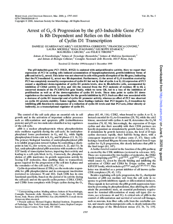(PDF) Arrest of G 1 -S Progression by the p53-Inducible Gene PC3 Is Rb ...