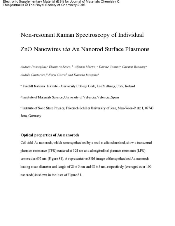 (PDF) Non-resonant Raman Spectroscopy of Individual ZnO Nanowires via ...