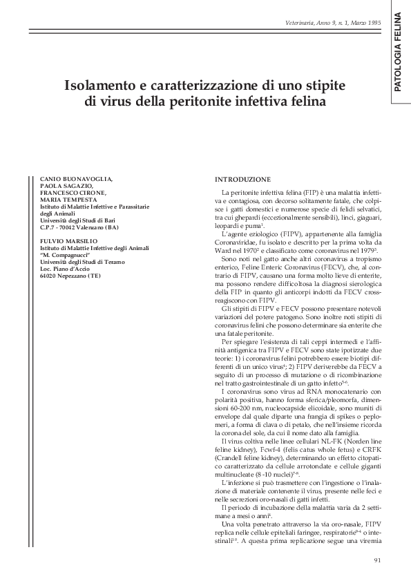 (PDF) Isolamento e caratterizzazione di uno stipite di virus della ...
