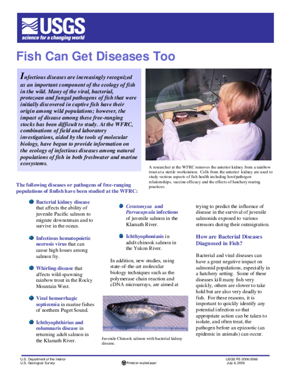 (PDF) Fish can get diseases too | G. Kurath - Academia.edu
