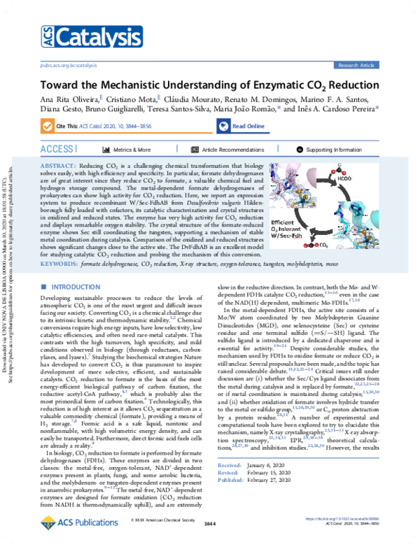 (PDF) Toward the Mechanistic Understanding of Enzymatic CO2 Reduction