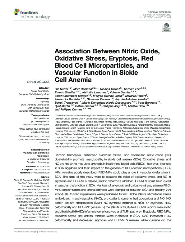 (PDF) Association Between Nitric Oxide, Oxidative Stress, Eryptosis