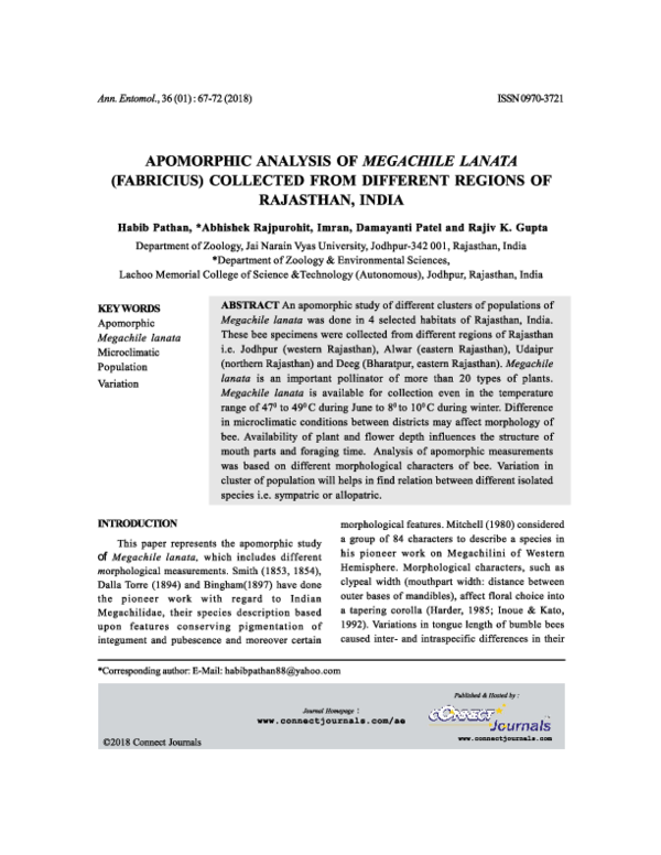 (PDF) Apomorphic analysis of Megachile lanata (Fabricius) Collected ...