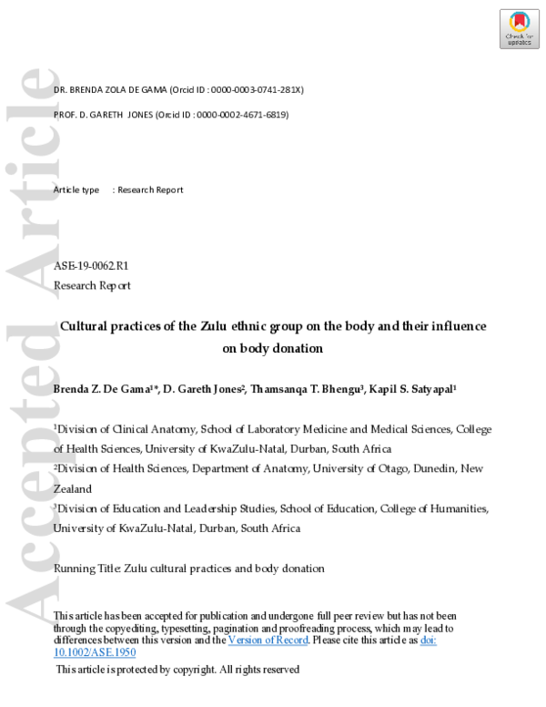 Zulu people visual data 5