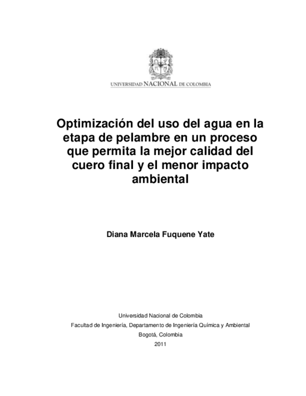 (PDF) Optimizacion Del Uso Del Agua en La Etapa De Pelambre en Un ...