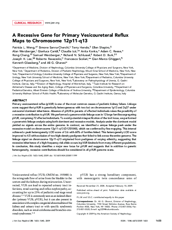 A Recessive Gene for Primary Vesicoureteral Reflux Maps to Chromosome 12p11-q13