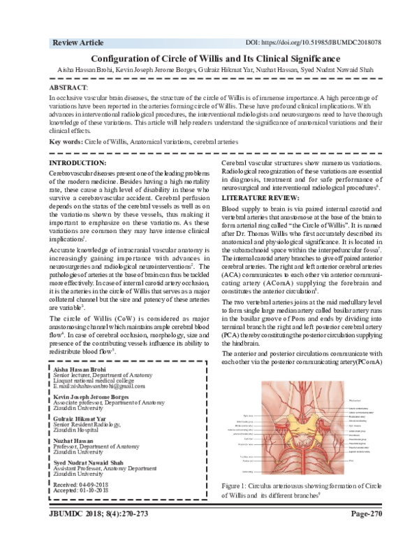 (PDF) Configuration of Circle of Willis and Its Clinical Significance