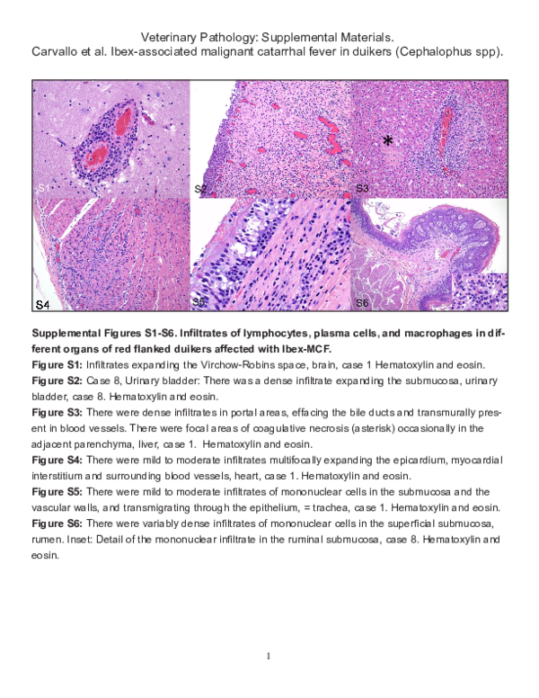 (PDF) Combined_supplemental_materials-Carvallo_et_al - Ibex-Associated ...