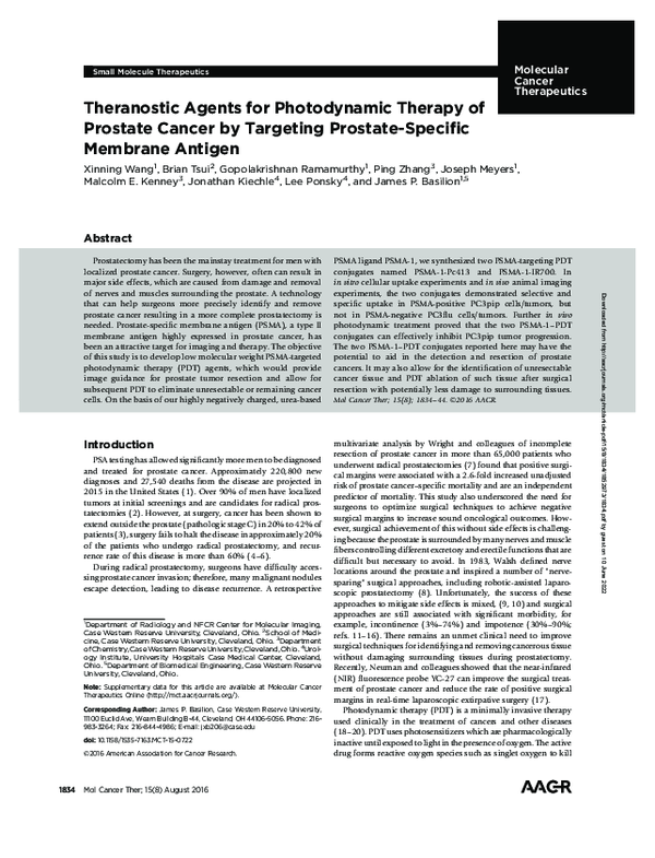 (PDF) Theranostic Agents for Photodynamic Therapy of Prostate Cancer by ...