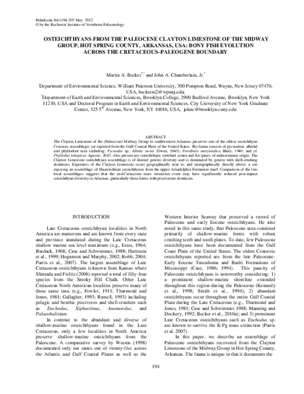 (PDF) Osteichthyans from the Paleocene Clayton Limestone of the Midway ...