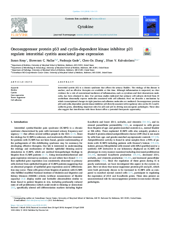 (PDF) Oncosuppressor protein p53 and cyclin-dependent kinase inhibitor ...