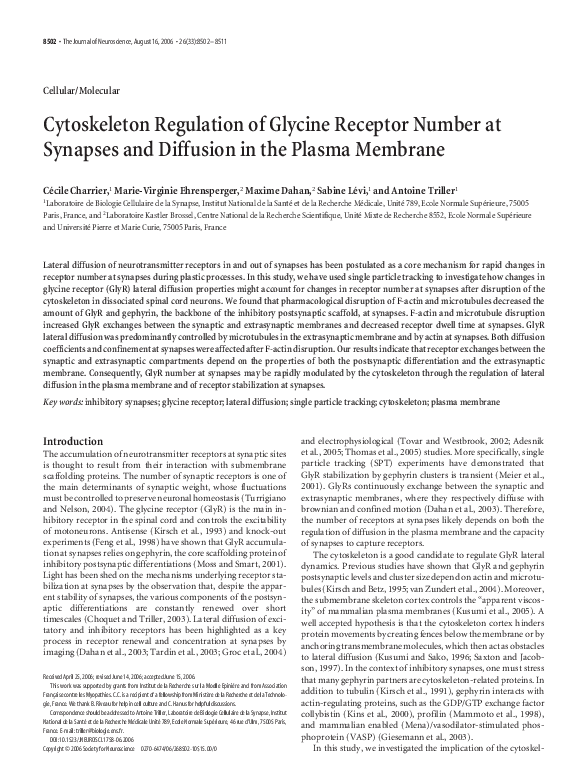 (PDF) Cytoskeleton Regulation of Glycine Receptor Number at Synapses ...