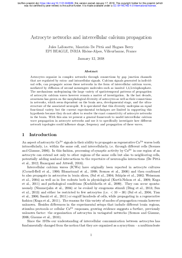 (PDF) Astrocyte networks and intercellular calcium propagation