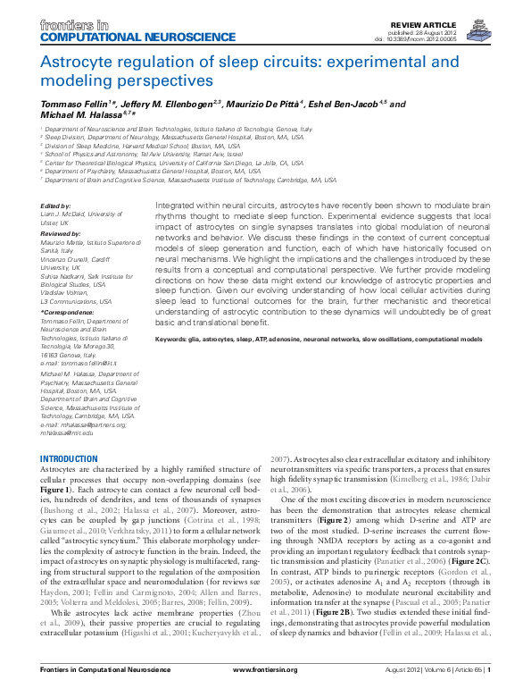 (PDF) Astrocyte regulation of sleep circuits: experimental and modeling ...