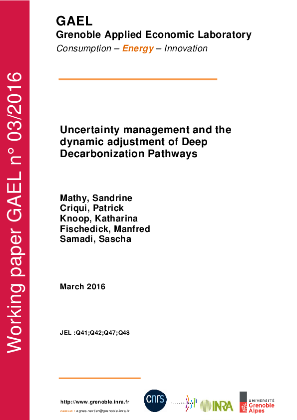 (PDF) Uncertainty management and the dynamic adjustment of deep ...