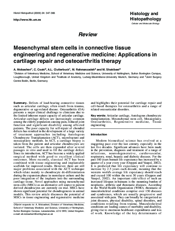 (PDF) Mesenchymal stem cells in connective tissue engineering and ...
