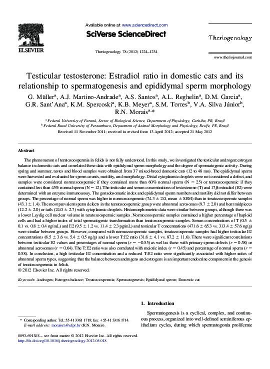 (PDF) Testicular testosterone: Estradiol ratio in domestic cats and its ...