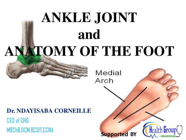 健康・医学 Anatomy of the Foot and ankle 51fM1+kHnOL.jpg_BO30,255,255,
