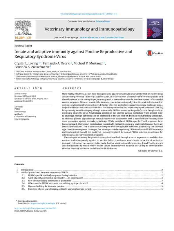(PDF) Innate and adaptive immunity against Porcine Reproductive and ...