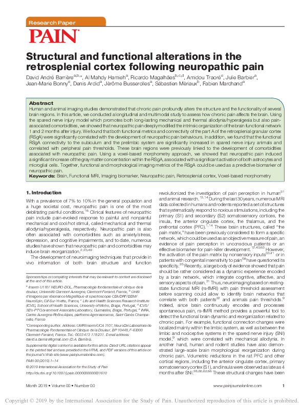 (PDF) Structural and functional alterations in the retrosplenial cortex ...