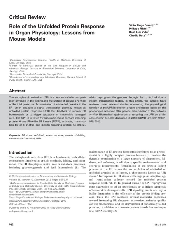 (PDF) Role of the unfolded protein response in organ physiology ...