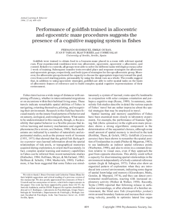Photo inspiration: Are Performance Requirement For Goldfish Reference: Pdf Performance Of Goldfish Trained In Allocentric And Egocentric