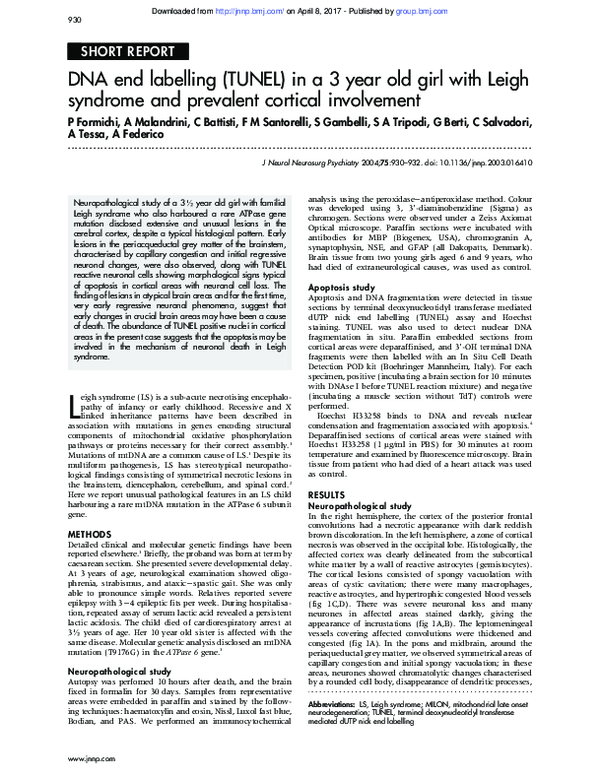 (PDF) DNA end labelling (TUNEL) in a 3 year old girl with Leigh ...
