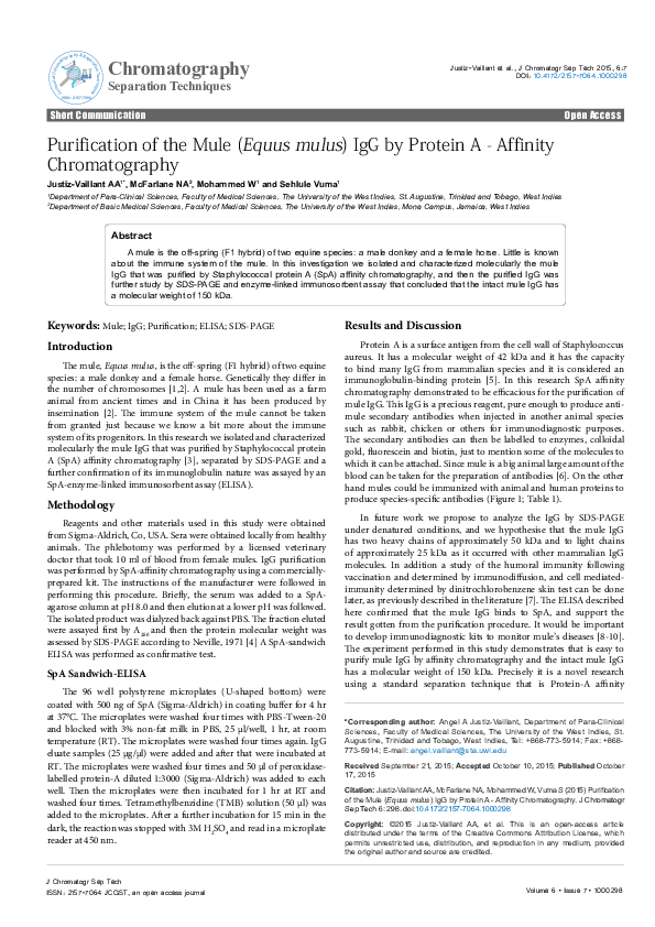 (PDF) Purification of the Mule (Equus mulus) IgG by Protein A ...