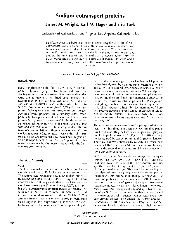 (PDF) Sodium cotransport proteins | Eric Turk - Academia.edu