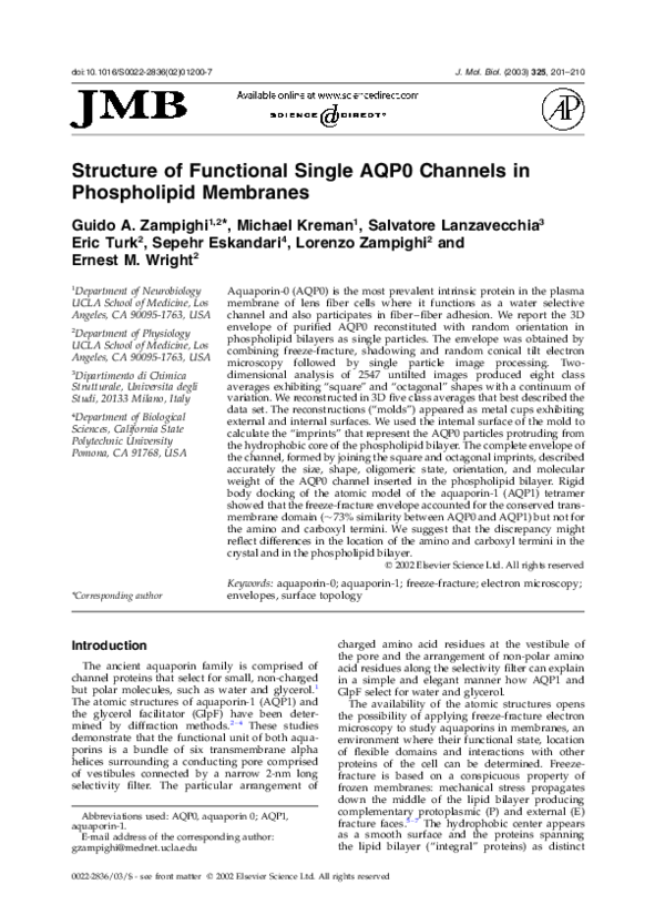 (PDF) Structure of Functional Single AQP0 Channels in Phospholipid ...