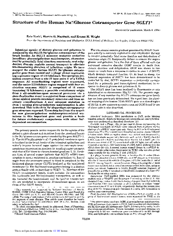 (PDF) Structure of the human Na+/glucose cotransporter gene SGLT1