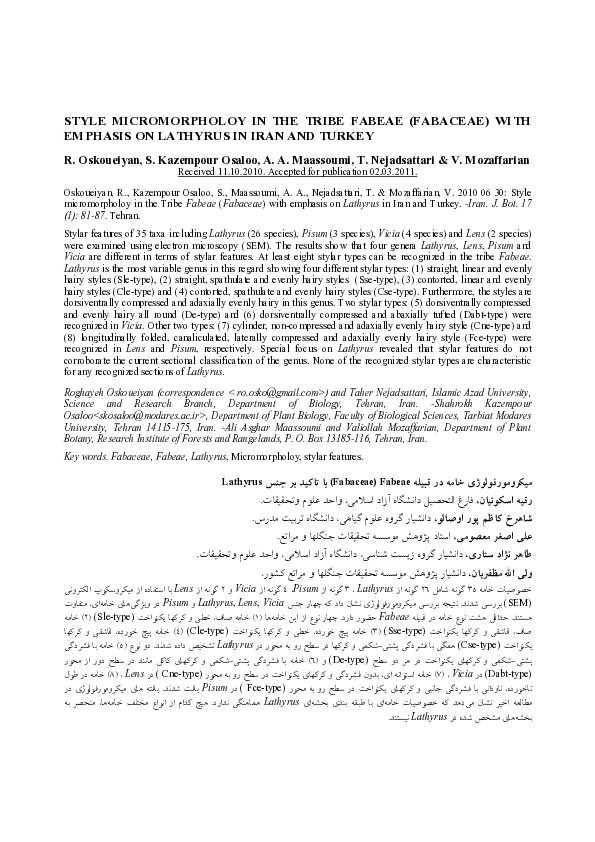 (PDF) Style Micromorpholoy in the Tribe Fabeae (Fabaceae) with Emphasis ...