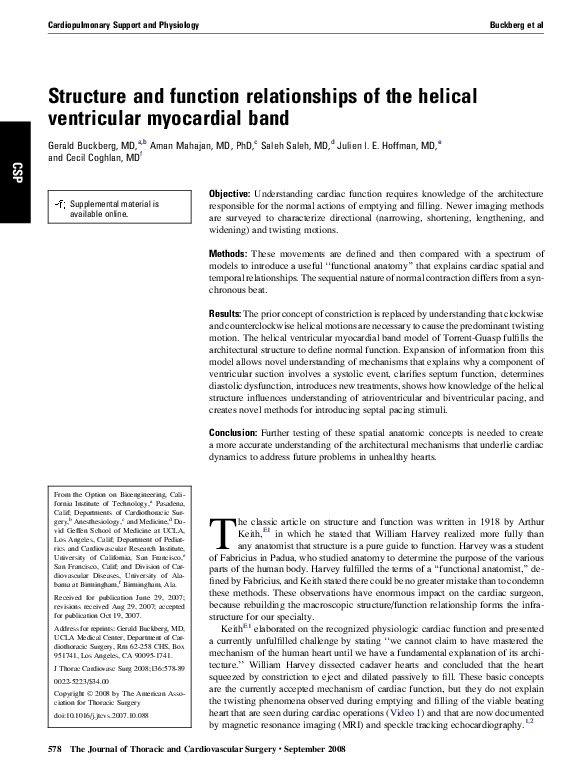 (PDF) Structure and function relationships of the helical ventricular ...