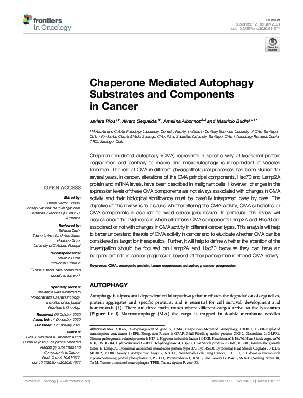 (PDF) Chaperone Mediated Autophagy Substrates and Components in Cancer