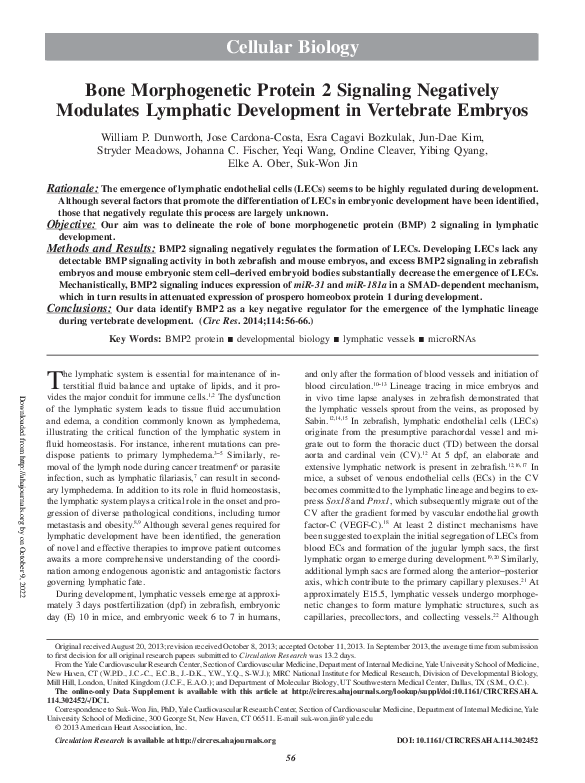 (PDF) Bone Morphogenetic Protein 2 Signaling Negatively Modulates ...