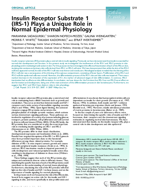 (PDF) Insulin receptor substrate 1 (IRS-1) plays a unique role in ...
