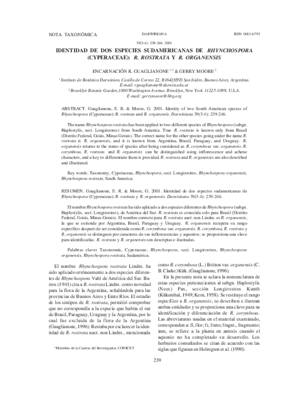 (PDF) Identidad de dos especies sudamericanas de Rhynchospora ...