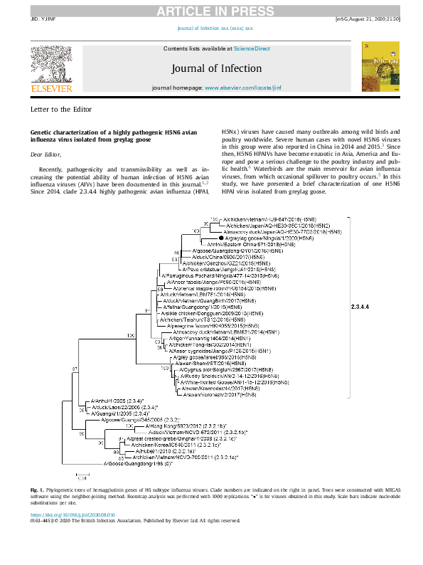 (PDF) Genetic characterization of highly pathogenic H5N1 avian ...